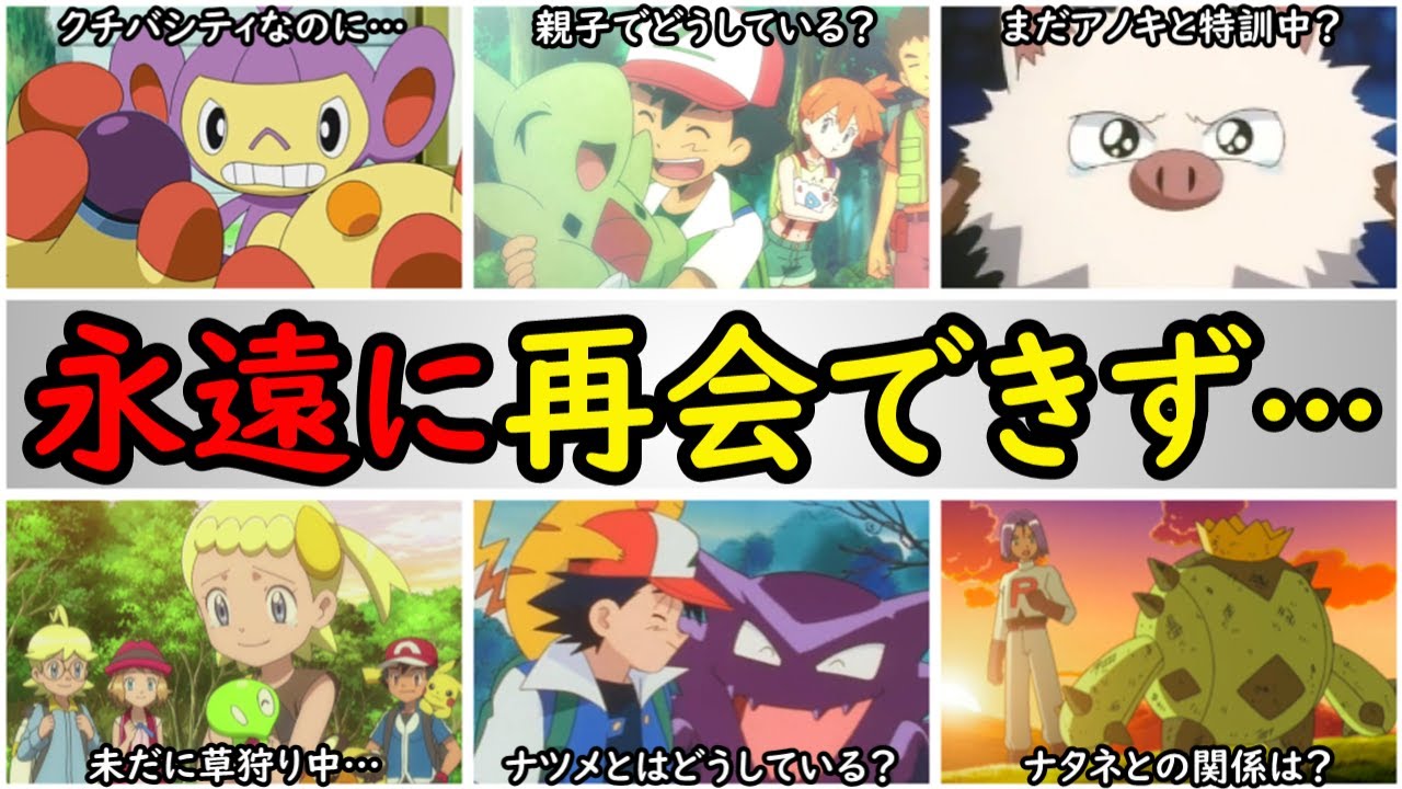 無念】サトシ達と再会できずに終わったポケモンまとめ【一生再会でき