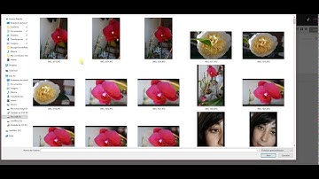 Creating a vídeo with Animoto