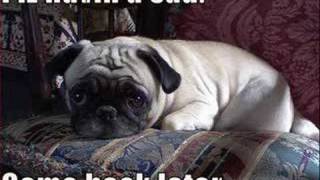 3 Girls Stab A 3 Yr Old Boy.. That Is Sick