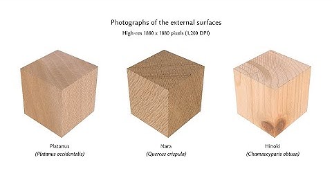 The Mokume Dataset and Inverse Modeling of Solid Wood Textures (Technical Paper, SIGGRAPH 2025)