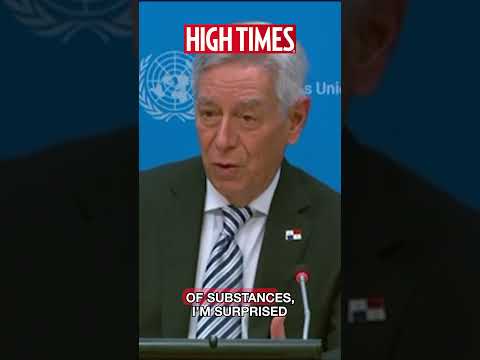 PANAMA “ALLEGEDLY” Produced GREAT WEED 😂 UN AMBASSADOR GETS CANDID.