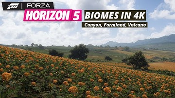 Forza Horizon 5 Cinematic Biomes in 4k! Volcano, Farmland, Canyon Location Tour.