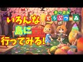 【あつまれどうぶつの森】家庭訪問させてください!
