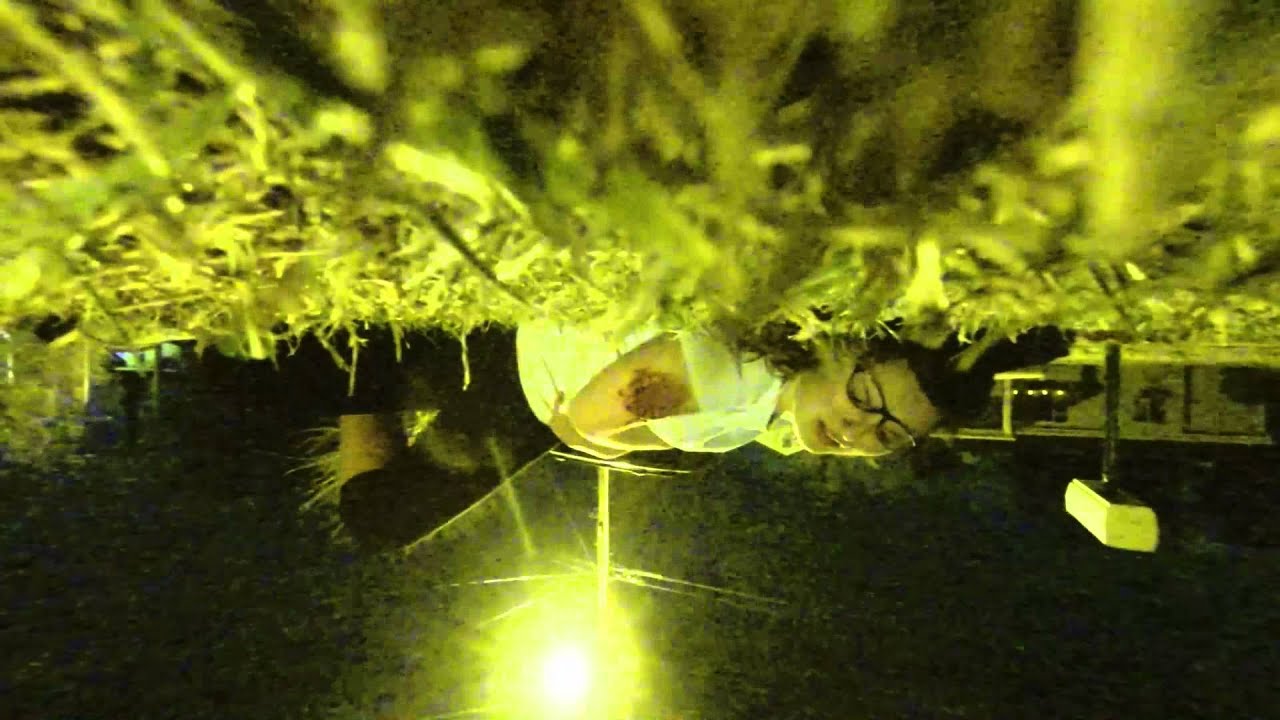 REAL Zombie Attack Caught on Tape YouTube