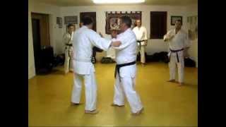 Tom Hill's Karate Dojo; Open Hand Techniques