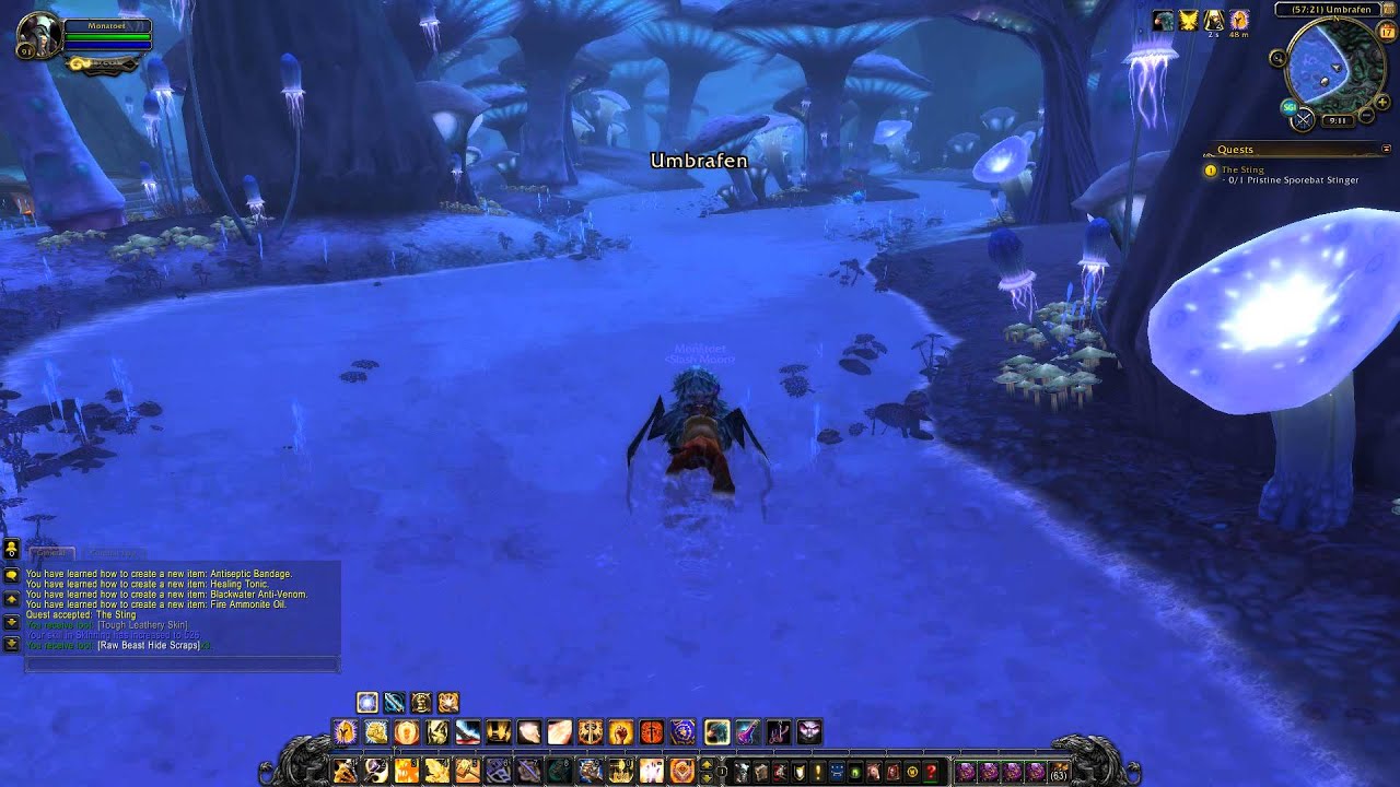 Draenor Quest 45: The Sting (WoW, human, Paladin)