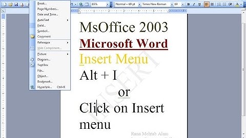 How to Use The Insert Menu In Ms Word / WinWord 2003 in Urdu/Hindi | Lunar Computer College