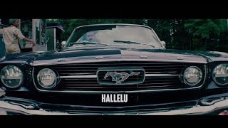 Lev Tahor - Hallelu (Official Music Video)