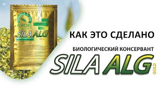 картинка: 