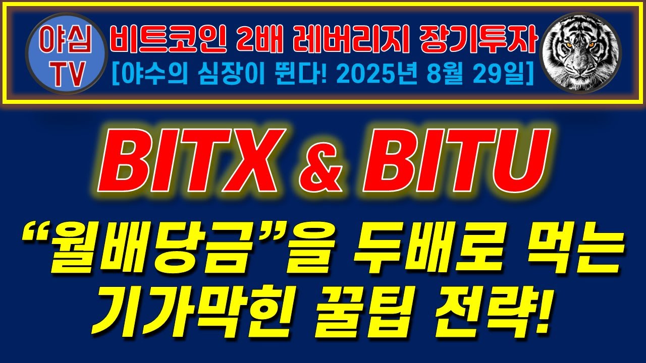 BITU 장기투자] 월배당금을 두배로 먹는 기가막힌 꿀팁 전략공유! [경제적자유ㅣ확실한 노후준비ㅣ야심매매법] - YouTube