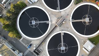 How LOTT Cleans Wastewater: Five Key Steps