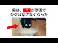 ㊗️10万再生【金ロー】「魔女の宅急便」の雑学【2026年版】【総集編】