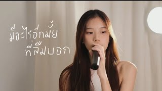 Video-Miniaturansicht von „มีอะไรอีกมั้ยที่ลืมบอก - TIMETHAI (praesun cover)“