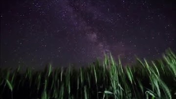 مقطع من سوره الانعام للشيخ هيثم الجدعاني رحمه الله