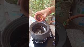 వంకాయ బంగళదుంప కూర ||chitti garden kitchen ||shorts ||ytshorts ||potato brinjal curry