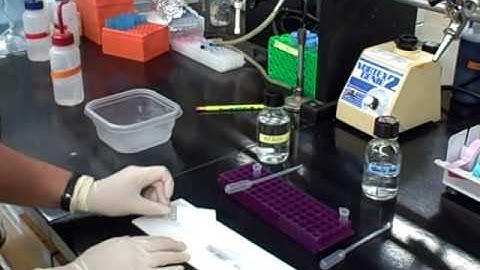 microarray simulation - developing the slide