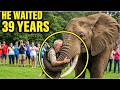 Elephant Reunites With Dad After 39 Years. His Reaction Will Melt Your Heart!!
