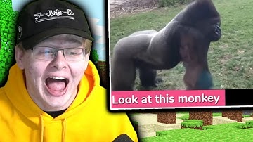 Minecraft, but if I laugh I die