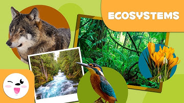 What are ecosystems? Types of Ecosystems for Kids