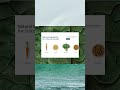 Nature-Inspired Healthcare Website UI