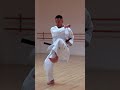 Tekki Shodan 