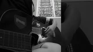 Reff Camelia (Cover)