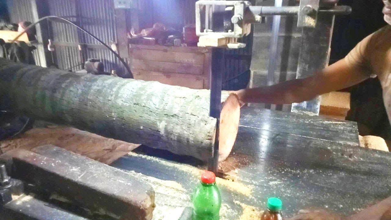 Sawmill Coconut Wood Cutting YouTube