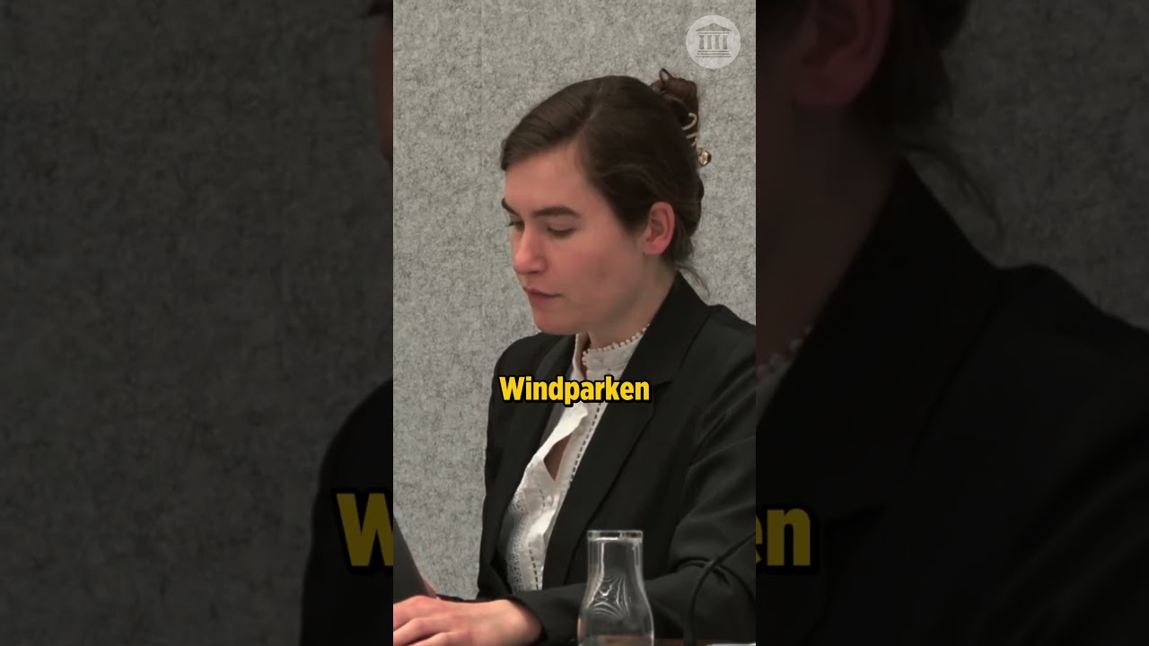 Thumbnail Windenergie levert zo weinig op dat kabinet nieuwe subsidiepot moet opentrekken | Lidewij de Vos