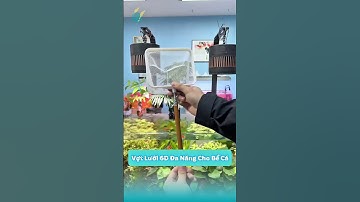 Vợt Lưới 6D Đa Năng Cho Bể Cá | Dụng Cụ Chăm Cá