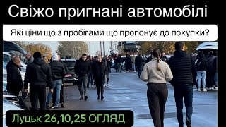 Огляд  Луцького авторинку 26,10,25 ☑️