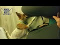 20170913 - Trinity Boarding with Mini Training - Day 01/06 - Easy Eyes 20170913 - Trinity Boarding with Mini Training - Day 01/06 - Easy Eyes