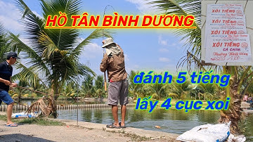 Hồ tân bình - đánh 5 tiếng lấy 4 cục xoi [P1]-thành công rực rỡ