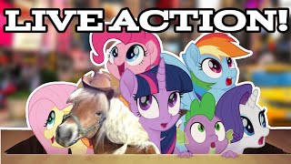 Live Action My Little Pony Plot Prediction