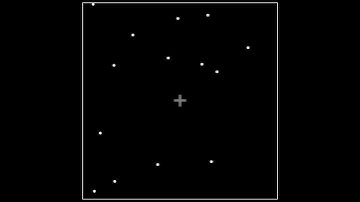 Multiple Object Tracking - Trial Demonstration