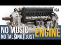 🎧 JUST ENGINE: The Raw Roar of History's Greatest Aircraft | No Music, No Talking!