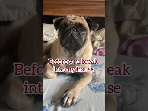 Before you break