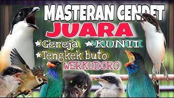 MASTERAN CENDET JUARA FULL TEMBAKAN PANJANG TENGKEK BUTO WERKUDORO MEWAH LENGKAP KEKINIAN TERBARU