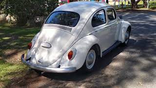 VW 1964 Australian Standard Beetle VID20240917103942