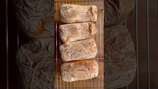 Easiest No-Knead Ciabatta