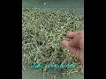 #how to make#KasuriMethi, और #IndianSpices #Foodie, #recipe