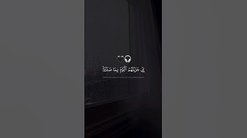 إني جزيتهم اليوم بما صبروا أنهم هم الفائزون 💚 #القران_الكريم #quran_kareem #تلاوة_خاشعة #راحة_نفسية
