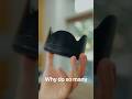 Why Photographers Use Lens Hoods