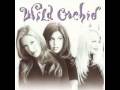 Wild Orchid - Wasted Love