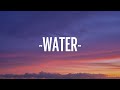 Tyla - Water (Remix) ft. Travis Scott