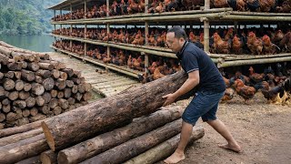 Download Lagu Man Renovates Massive Chicken House with Bamboo by Hand to Expand Poultry Farm | Start to Finish MP3