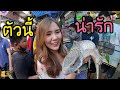 ตามหาสัตว์แปลก ที่ผู้หญิงอยากเลี้ยง 3 อันดับ Exotic pets that women want to raise. EP.2