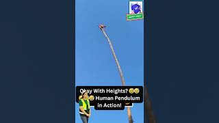 Download Lagu Okay With Heights? 🤔😎 Human Pendulum in Action! MP3