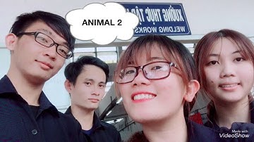 Magnetic particle testing