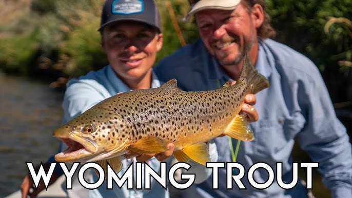 Streamer Fishing the Horn - Bighorn Trout Shop