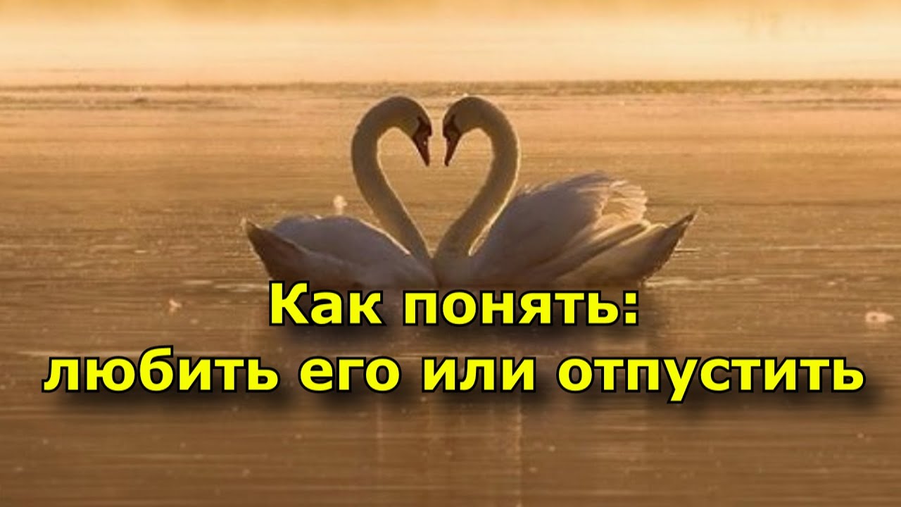 Как понять любишь его или нет. Как понять любишь его или нет